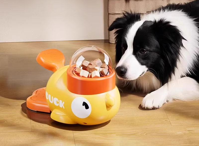 Bật mí 5 phụ kiện cho thú cưng kinh doanh hái ra tiền